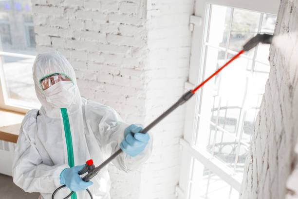 Trusted Bayou La Batre, AL Mold Removal Experts